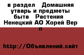  в раздел : Домашняя утварь и предметы быта » Растения . Ненецкий АО,Хорей-Вер п.